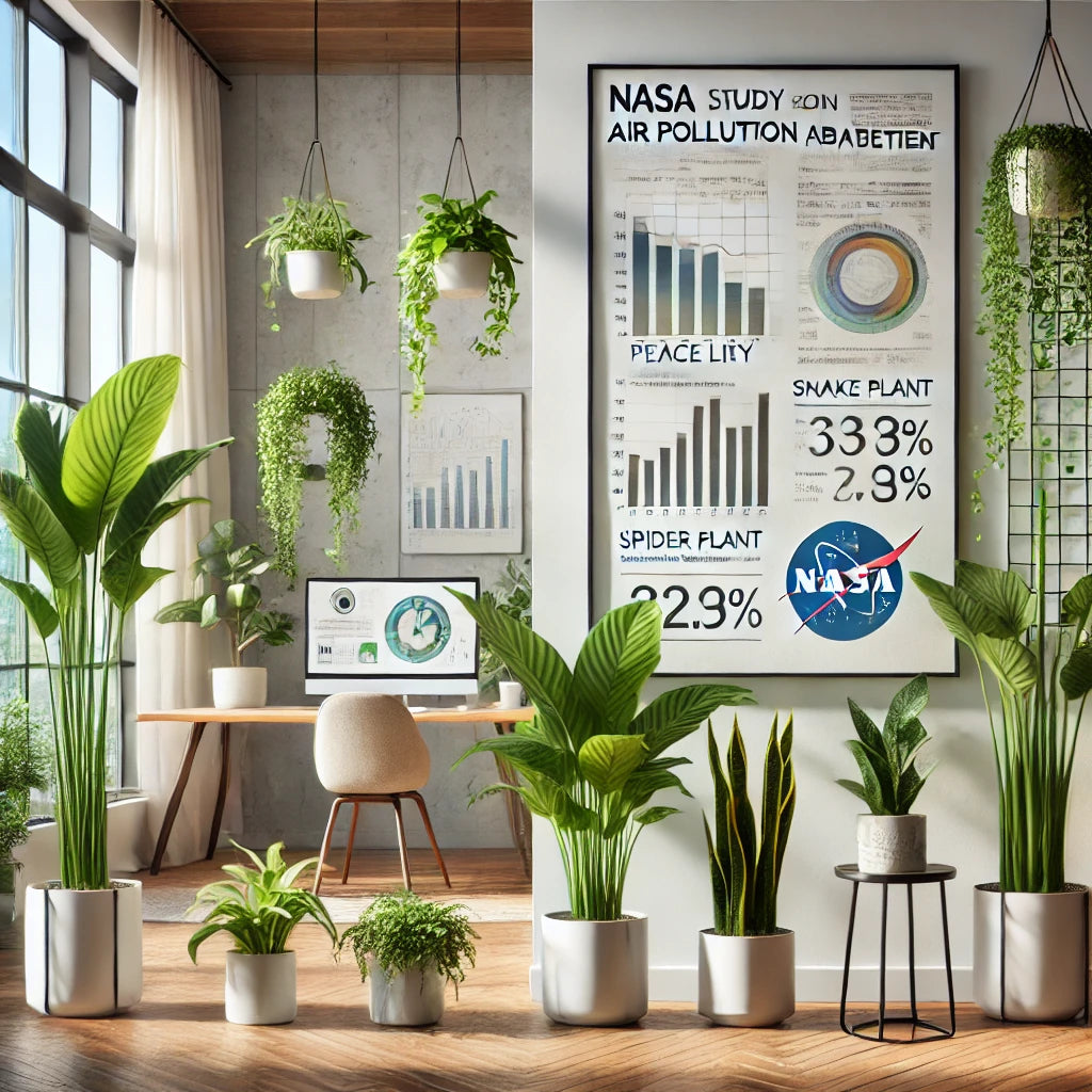NASA’s Groundbreaking Research on Indoor Plants for Air Purification: How Plants Can Clean Your Home's Air