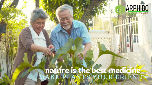 The Importance of Indoor Plants in Elders' Rooms for Fresh Air and Preventing Breathing Disorders