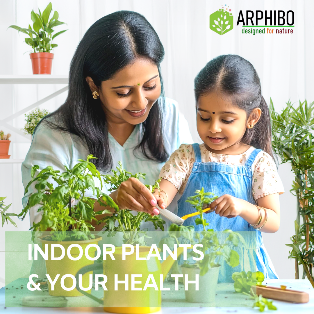 The Health Benefits of Indoor Gardening for All Age Groups | Arphibo