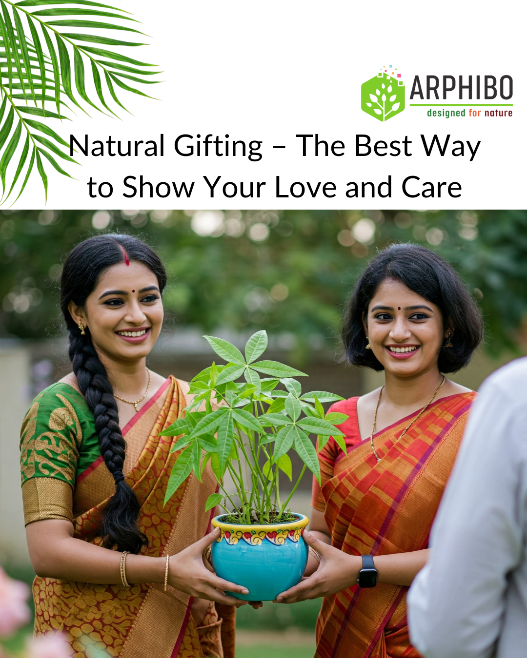 Natural Plant Gifting – The Best Way to Show Your Love and Care