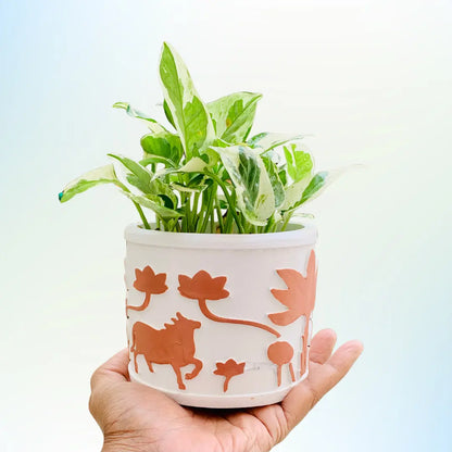 Handcrafted 5" Embossed Cement Planter Pot