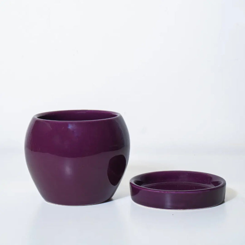 Chotu Ceramic Pot with Matching Plate 3"