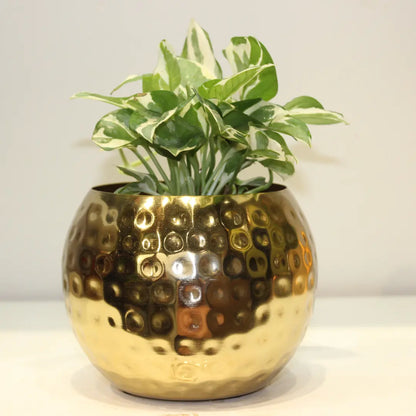 Elegant Hammered Metal Pot – Golden & Copper Finish