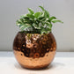 Elegant Hammered Metal Pot – Golden & Copper Finish