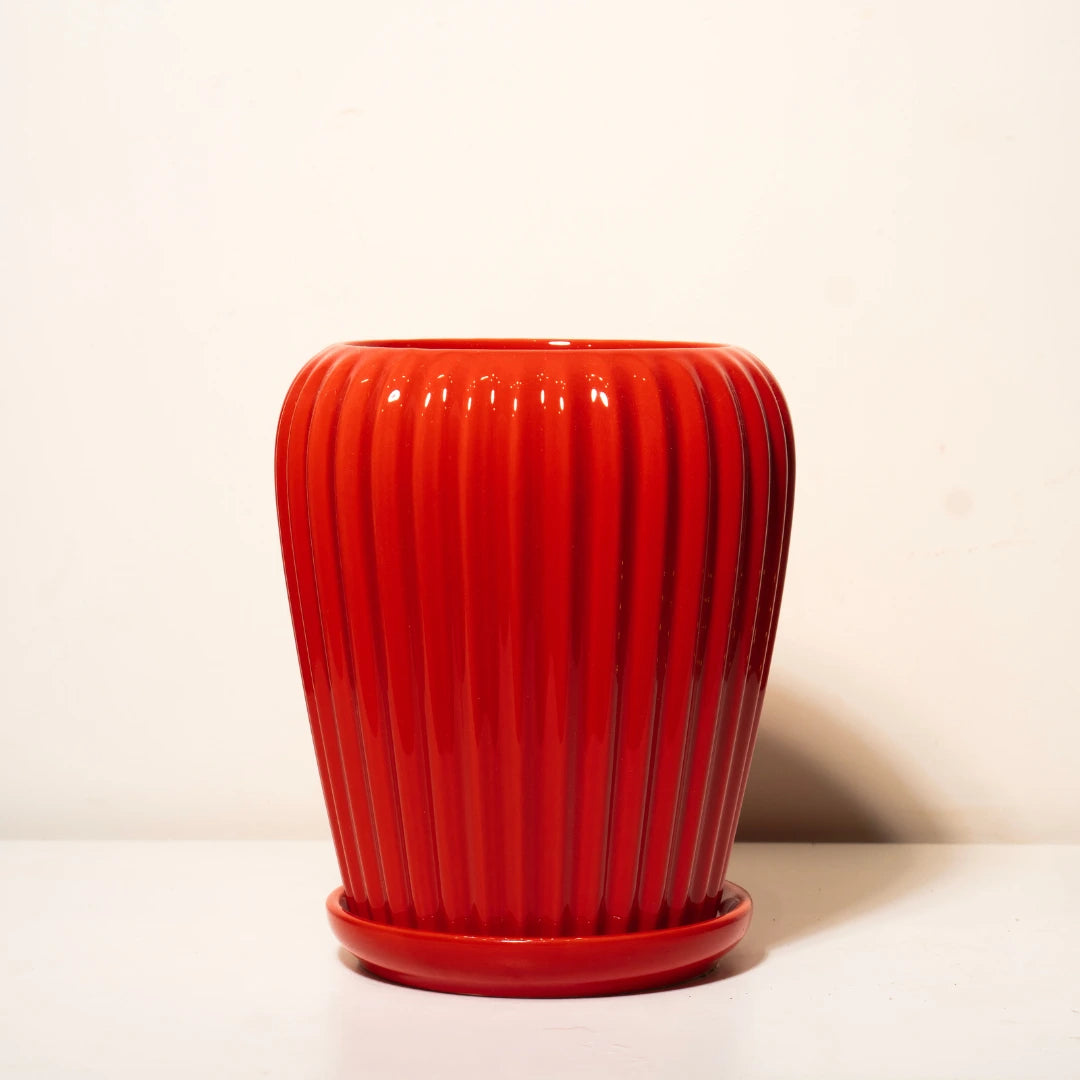 Striped Ceramic Pot – Available in Black, Red, White, & Grey