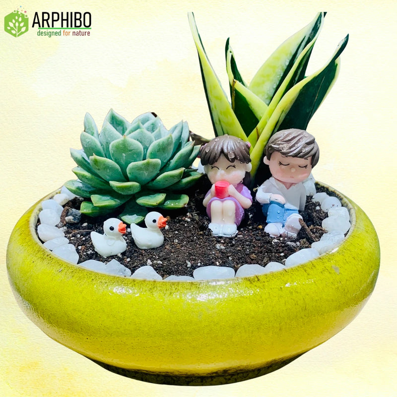 Plant Gift Set in Vibrant Ceramic Pot with Miniatures