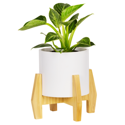 ecowood smart planter with stand