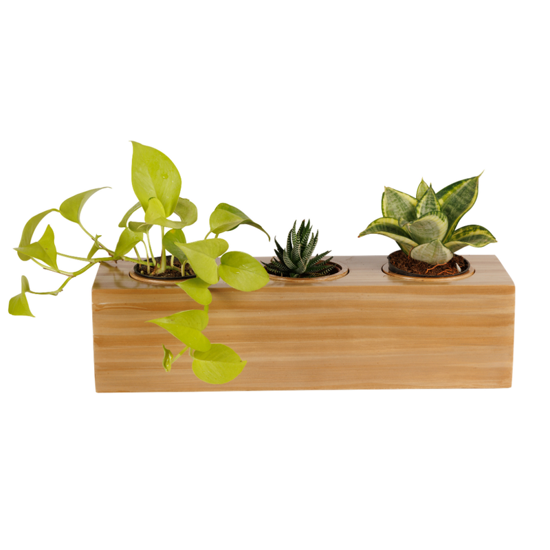 ecowood smart planter 3in1 box round