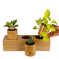 ecowood smart planter 3in1 box round wooden