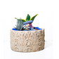 Oasis Cement Planter – Leafy Textured Design for Serene Décor