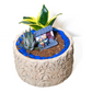 Oasis Cement Planter – Leafy Textured Design for Serene Décor