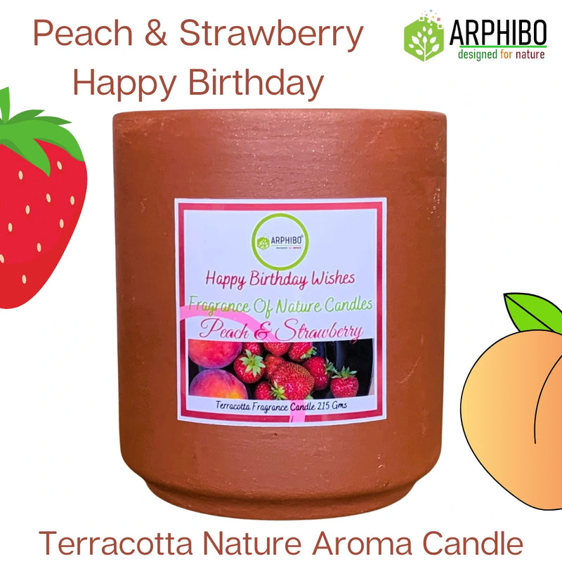 Arphibo Terracotta Clay Pot Aroma Candle