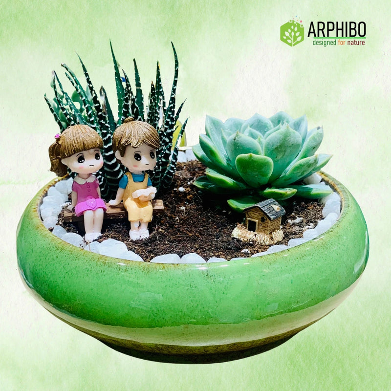 Plant Gift Set in Vibrant Ceramic Pot with Miniatures