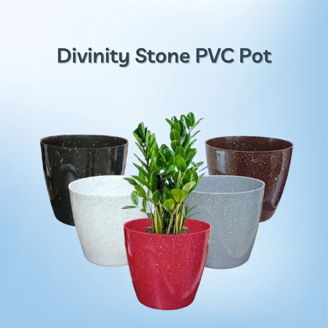 Divinity Stone Plastic Pots with Matching Plate