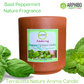 Arphibo Terracotta Clay Pot Aroma Candle