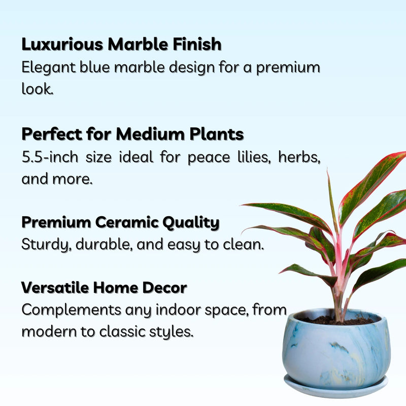 Elegant Ceramic Pot with Marble Finish – 5.5-Inch, Blue