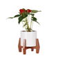 smart planter stand