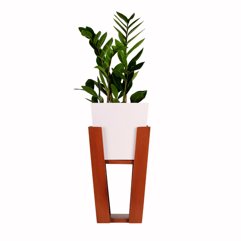 EcoWood Smart Planter with Stand Square Tapered BORNECO P14