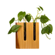 EcoWood Wall Hanging Twin with Glass Tube AQUADUO P4