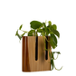 EcoWood Wall Hanging Twin with Glass Tube AQUADUO P4