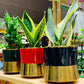 IRIS Ceramic Pots – Elegant Home Décor in Blue, Green & Red Color