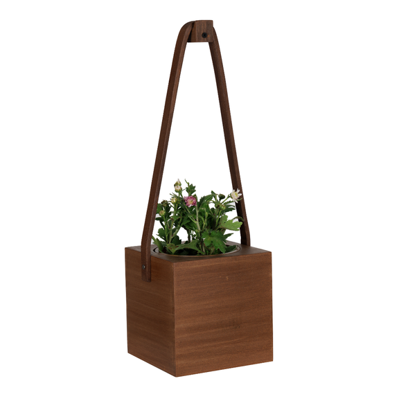 wall hanging planter