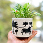 Handcrafted 5" Embossed Cement Planter Pot