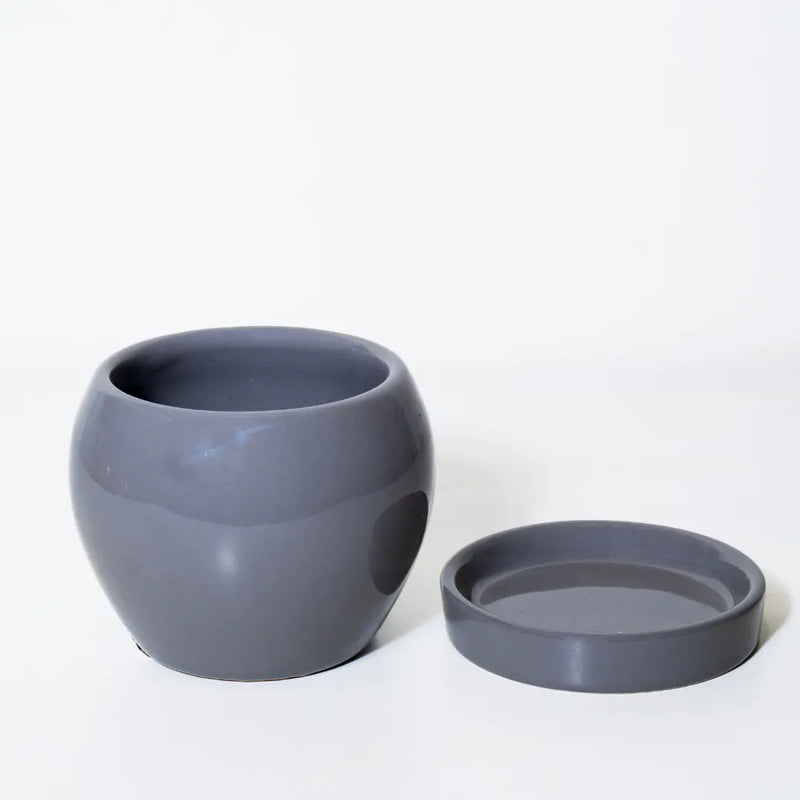 Chotu Ceramic Pot with Matching Plate 3"