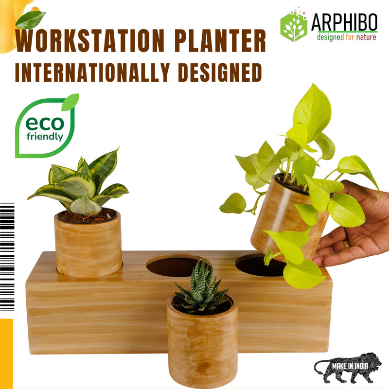 ecowood smart planter 3in1 box 