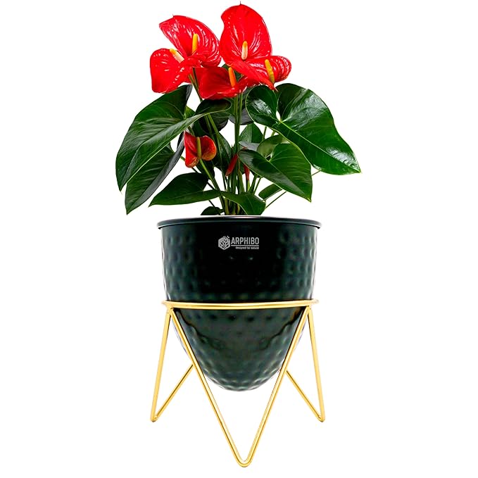 Metal Planter Iron with Stand PL HM AF07 Small 6 Inch