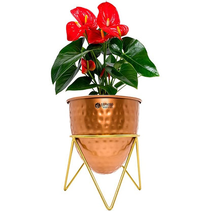 Metal Planter Iron with Stand PL HM AF07 Small 6 Inch