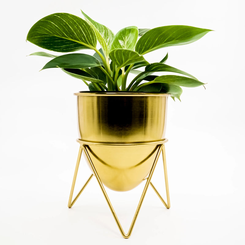 Elegant Metal Pot with Stand – Available in Golden, White & Black