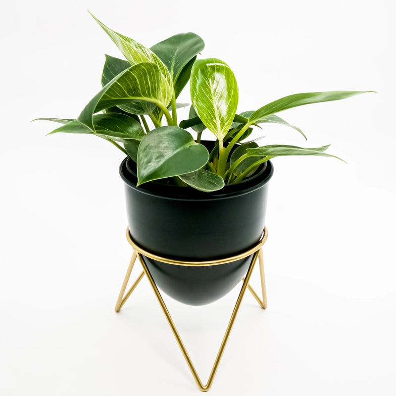 Elegant Metal Pot with Stand – Available in Golden, White & Black