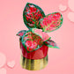 Pink Aglonima plant with Ceramic IRIS Planter